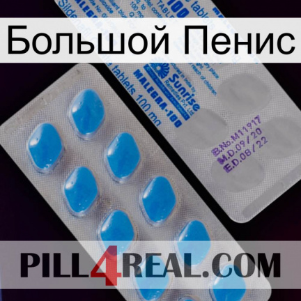 Большой Пенис new15